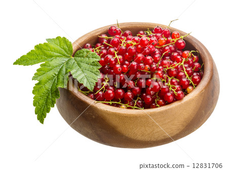 Red currant 12831706