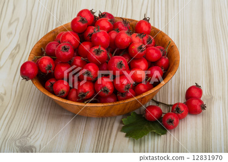 Hawthorn Hawthorn 12831970