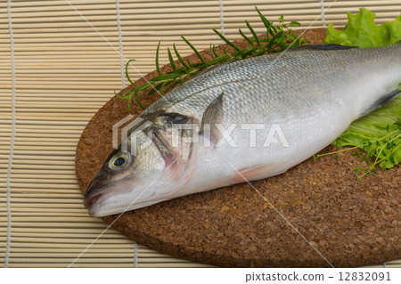 Raw seabass 12832091