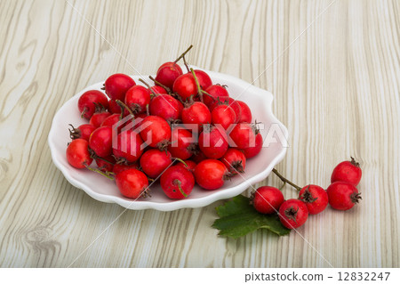 Hawthorn Hawthorn 12832247