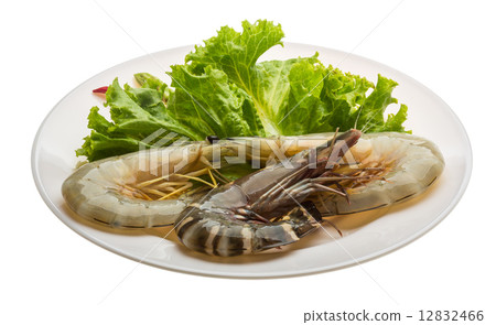 King and waterleg shrimps 12832466