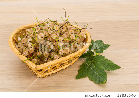 图库照片: white currant