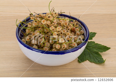 White currant White currant 12832606
