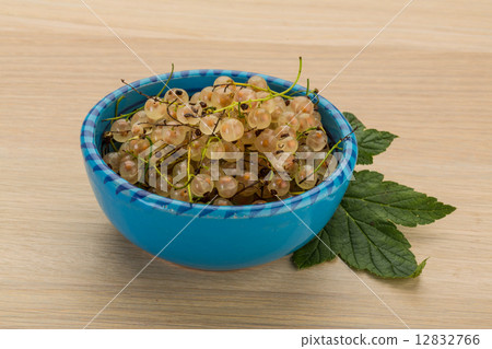 White currant White currant 12832766