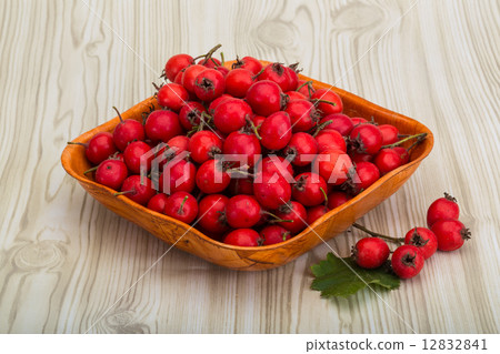 Hawthorn Hawthorn 12832841