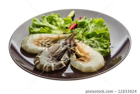 King and waterleg shrimps 12833024