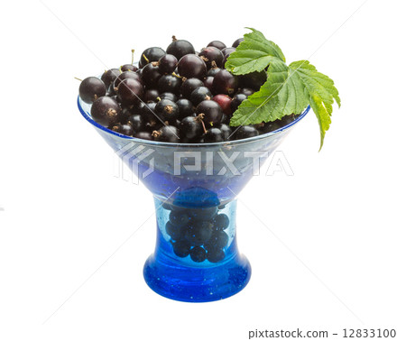 Black currant 12833100