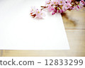 2014年櫻花 12833299