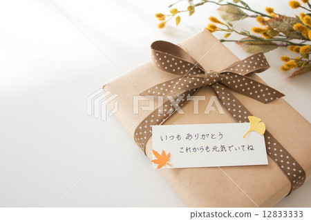 Present for the Senior Citizen's Day Present for the Senior Citizen's Day 12833333