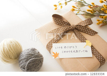 Present for the Senior Citizen's Day Present for the Senior Citizen's Day 12833334