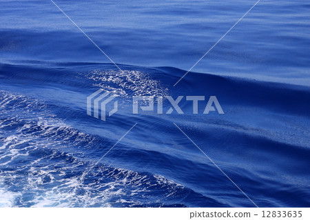 South China Sea 12833635