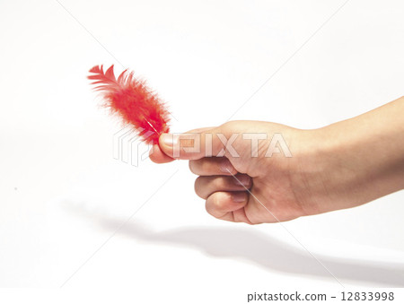 Red Feather and Child's Hand 12833998