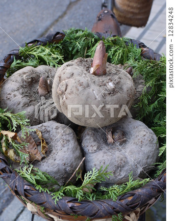 Konnyaku potato 12834248