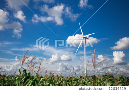 Wind Turbine Farm 12834329