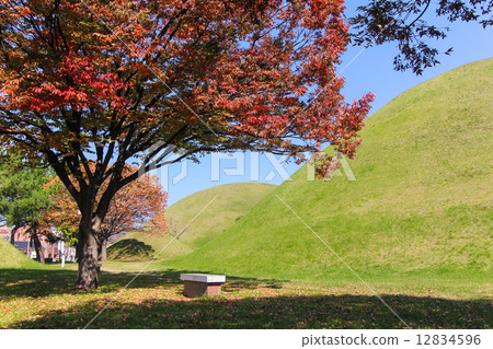 Autumn trees with ancient tomb in Gyeongju town, Korea. 12834596
