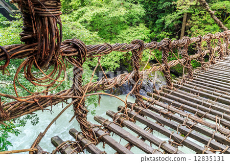 德島縣：Iya的Kazura Bridge 12835131