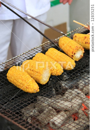 Corn 12835251