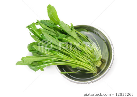 Mibuna Mibuna 12835263