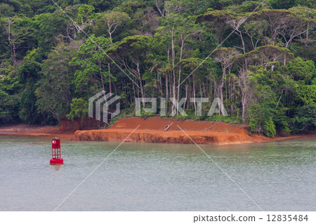 Panama Canal 12835484