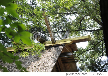 Ise jingu寺廟屋頂外國宮殿Taga宮殿 12835539