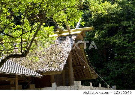 伊勢神宮靖國神社 12835546
