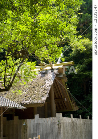 伊勢神宮靖國神社 12835547
