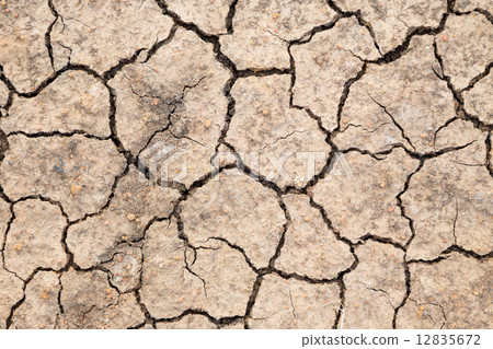 dry soil texture background 12835672