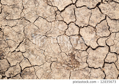 dry soil texture background dry soil texture background 12835673