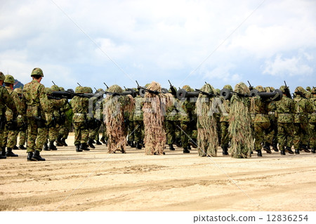 Self Defense Force 12836254