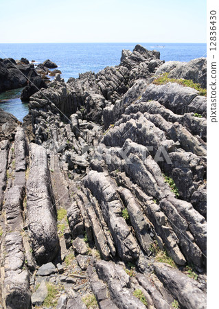 Muroto Geopark Hilltop Beach, Slavic Structure of Turbidite 12836430