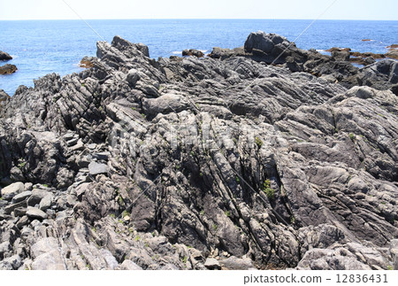 Muroto Geopark Hilltop Beach, Slavic Structure of Turbidite 12836431