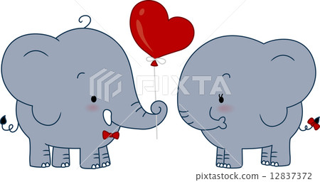 Elephant Couple 12837372