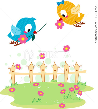 Lovebird Courtship Lovebird Courtship 12837540