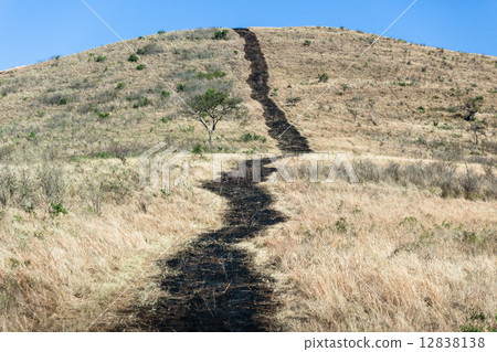 Dirt Road Nature Wilderness 12838138