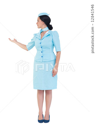 Pretty air hostess showing with hand Pretty air hostess showing with hand 12841546