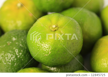 Shikuasa Shikuasa 12845725