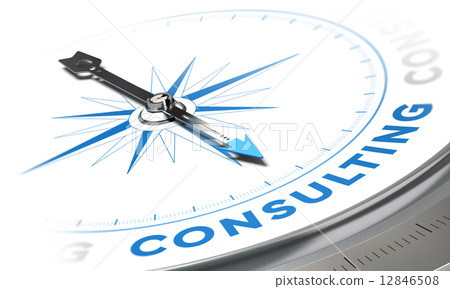 Consulting 12846508