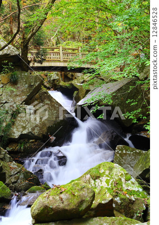 Takigawa Valley Hashigashi Waterfall ~ Late Autumn ~ 12846528