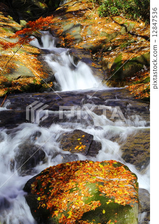 Takigawa Valley ~ Late Autumn of Hachi-chome ~ 12847536