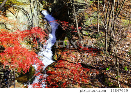 Takigawa Valley Choshi的嘴(Wolongongseong)瀑布〜晚秋〜 Takigawa Valley Choshi的嘴(Wolongongseong)瀑布〜晚秋〜 12847639