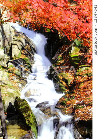 Takigawa Valley Choshi's mouth (Wolongongseong) Waterfall ~ Late Autumn ~ 12847643