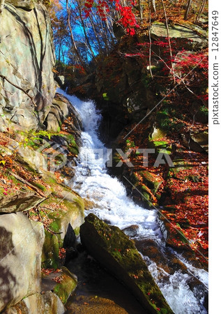 Takigawa Valley Choshi的嘴(Wolongongseong)瀑布〜晚秋〜 Takigawa Valley Choshi的嘴(Wolongongseong)瀑布〜晚秋〜 12847649