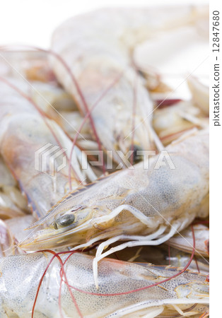 Whiteleg shrimps. Whiteleg shrimps. 12847680