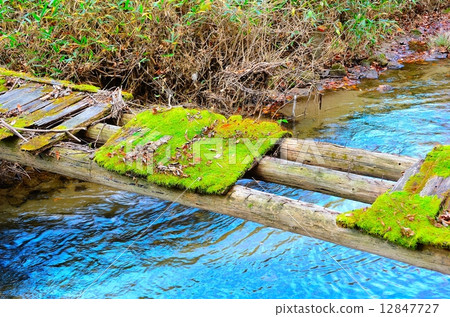 瀧川谷 - 瀧川村朽爛的木橋秋末 -  12847727