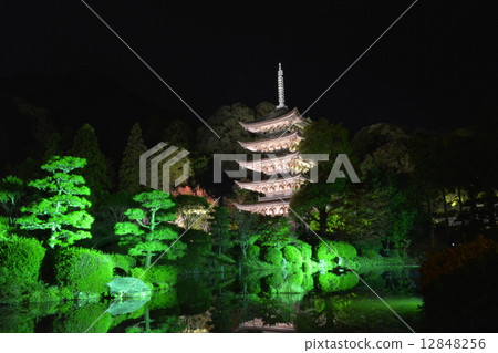 Rurikoji寺五層塔燈亮起 Rurikoji寺五層塔燈亮起 12848256