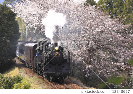 Spring Oigawa Railway SL Spring Oigawa Railway SL 12848637