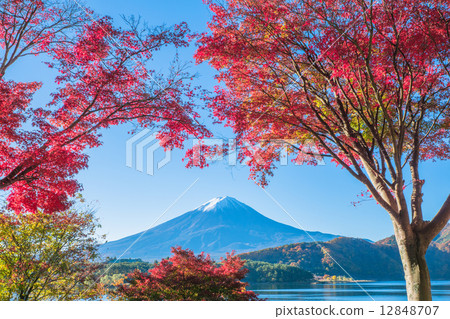 Mt. Fuji in autumn Mt. Fuji in autumn 12848707