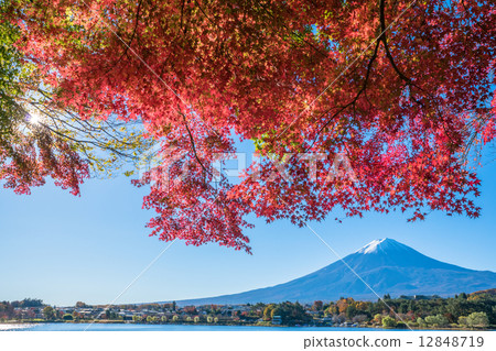 Mt. Fuji in autumn 12848719