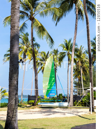 Catamaran on the beach with volleyball court 12850516