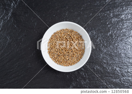 Coriander in a bowl on a slate Coriander in a bowl on a slate 12850568
